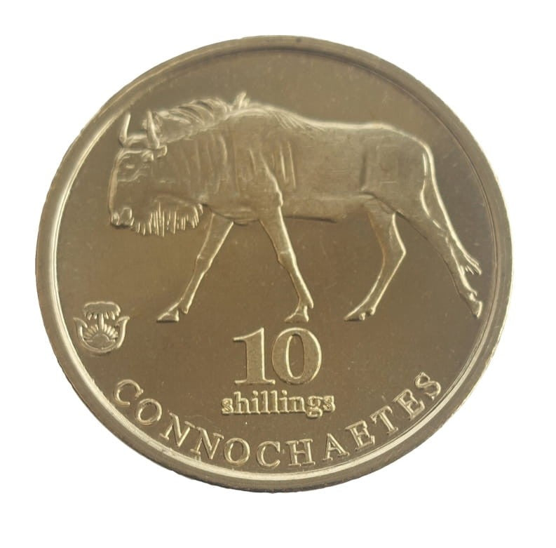 Biafra 10 szylingów Gnu 2022
