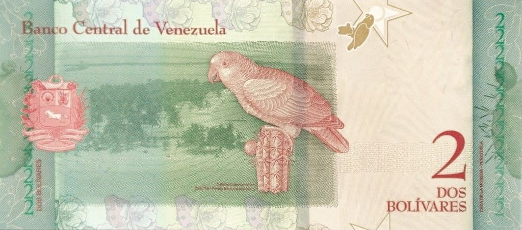 Wenezuela 2 Boliwary Papuga 2018 P-101a