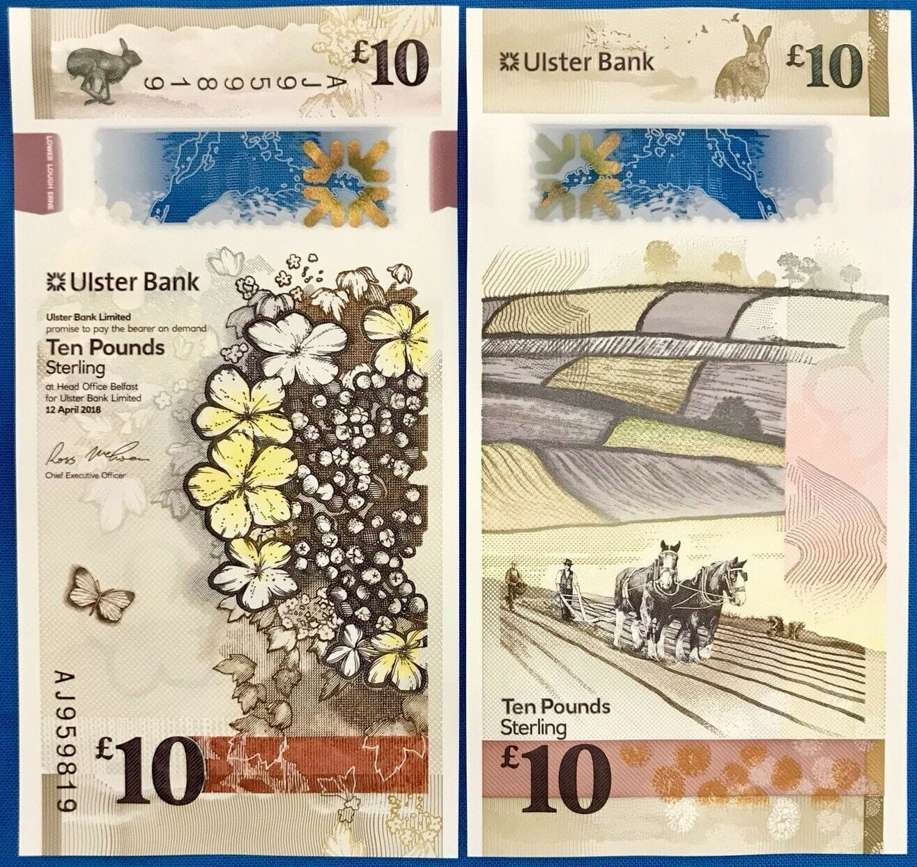 Irlandia PN 10 funtów Kwiaty 2018 P-344a