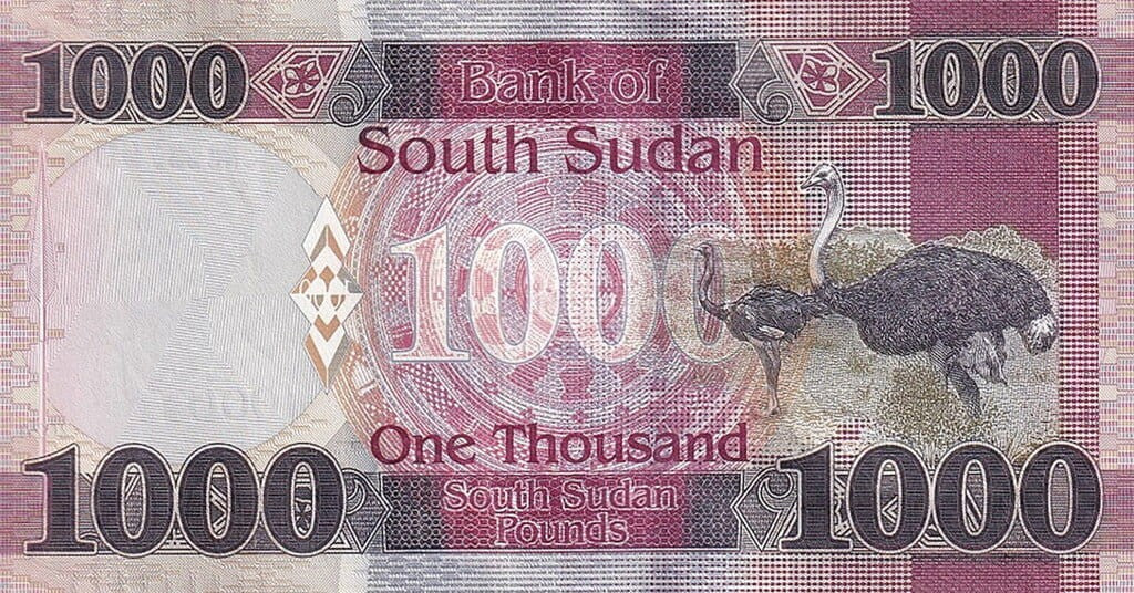 Sudan Południowy 1000 funtów Struś 2024 P-17d