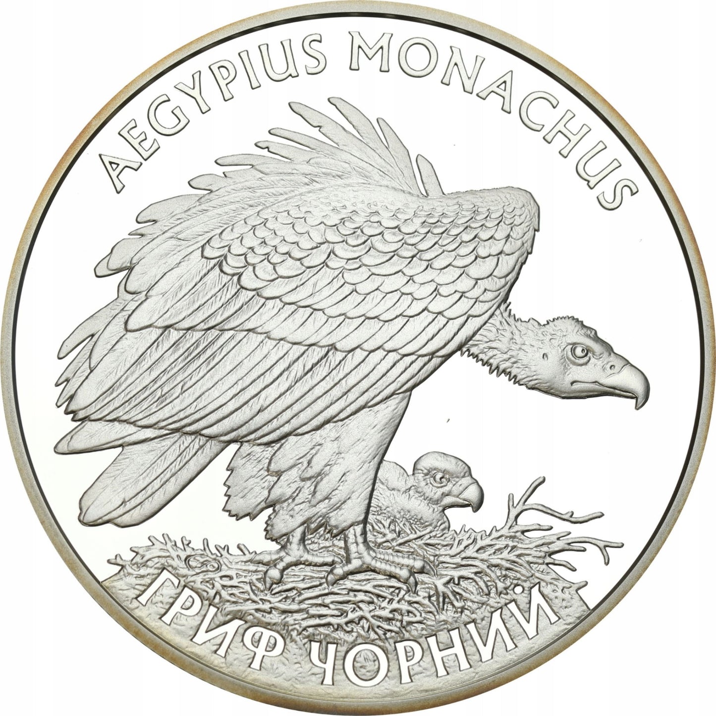 UKRAINA 10 UAH Sęp Kasztanowy 2008
