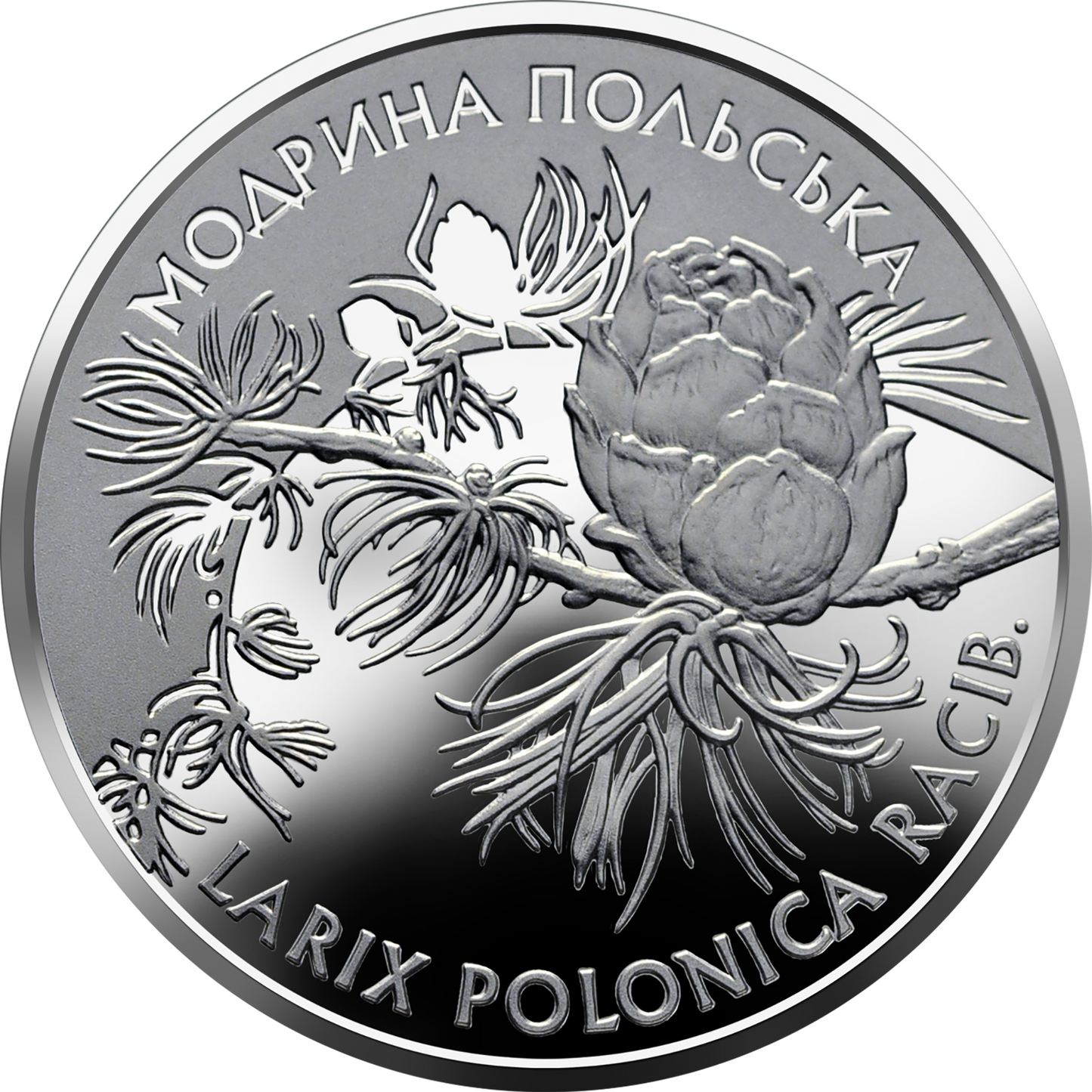 Ukraina 2 UAH Modrzew polski 2001