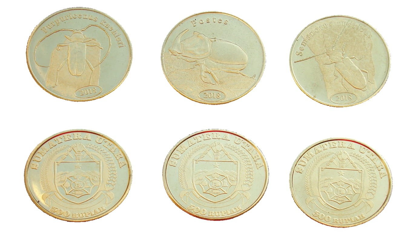 Zestaw Indonezja - Sumatra x 3 Chrząszcze 2018 II
