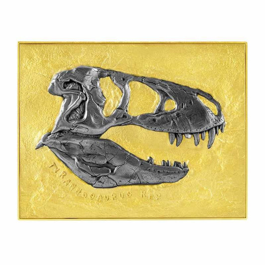 Czad 5000 FCFA Tyrannosaurus Rex Fossil  1 oz Ag999 2023