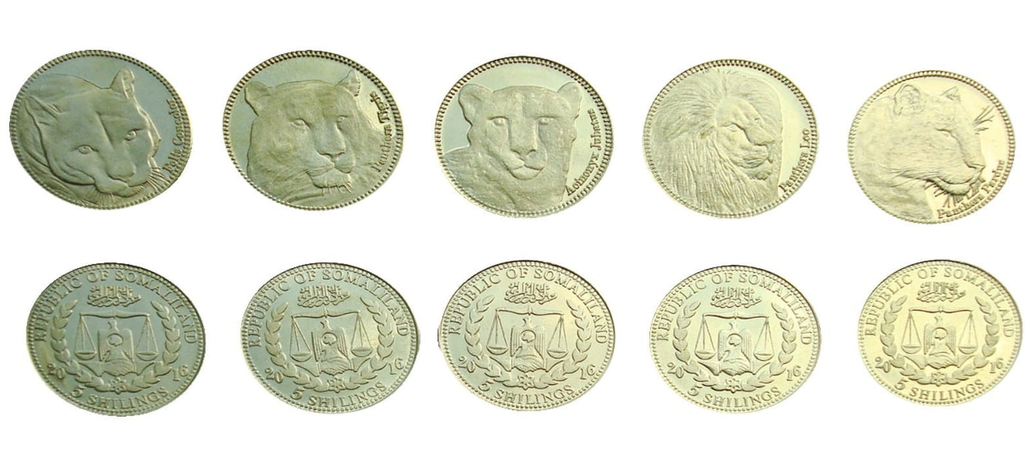 Somaliland 5 szylingów x 5 Wielkie koty 2016