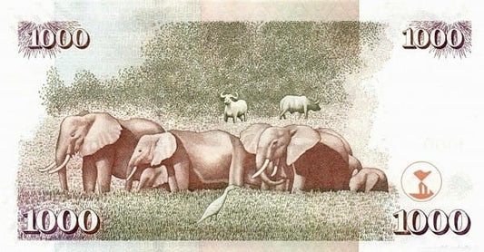 Kenia 1000 szylingów Słonie i Bawoły 2010 P-51e