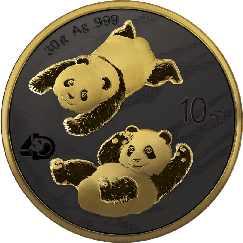 Chiny 10 juanów Panda 30 g Ag.999 2022 GN
