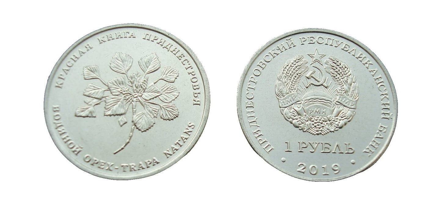 Naddniestrze 1 rubel Kotewka orzech wodny 2019